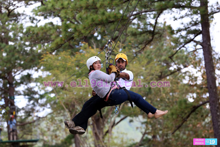 canopy